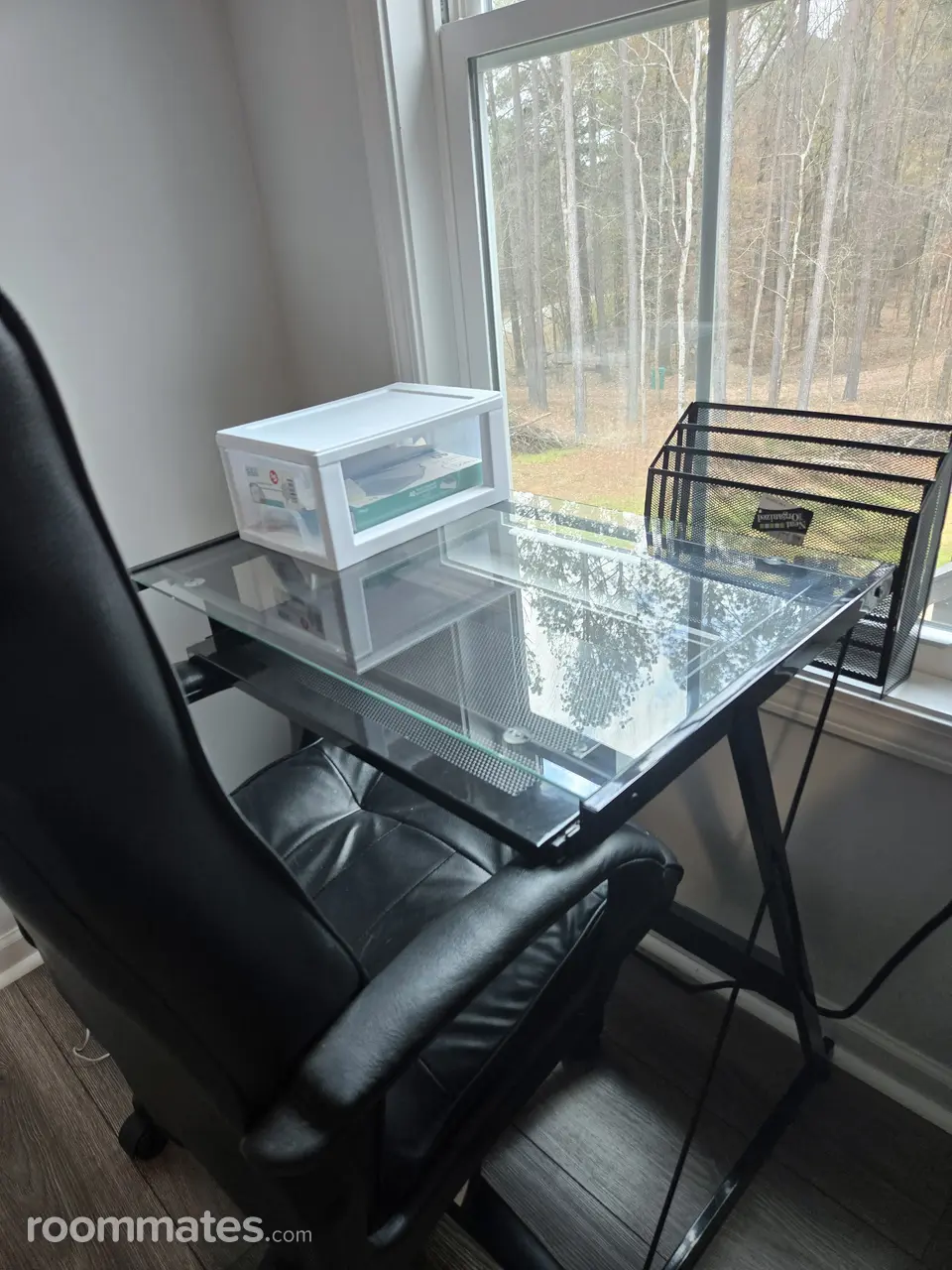 Profile photo 9 of 11