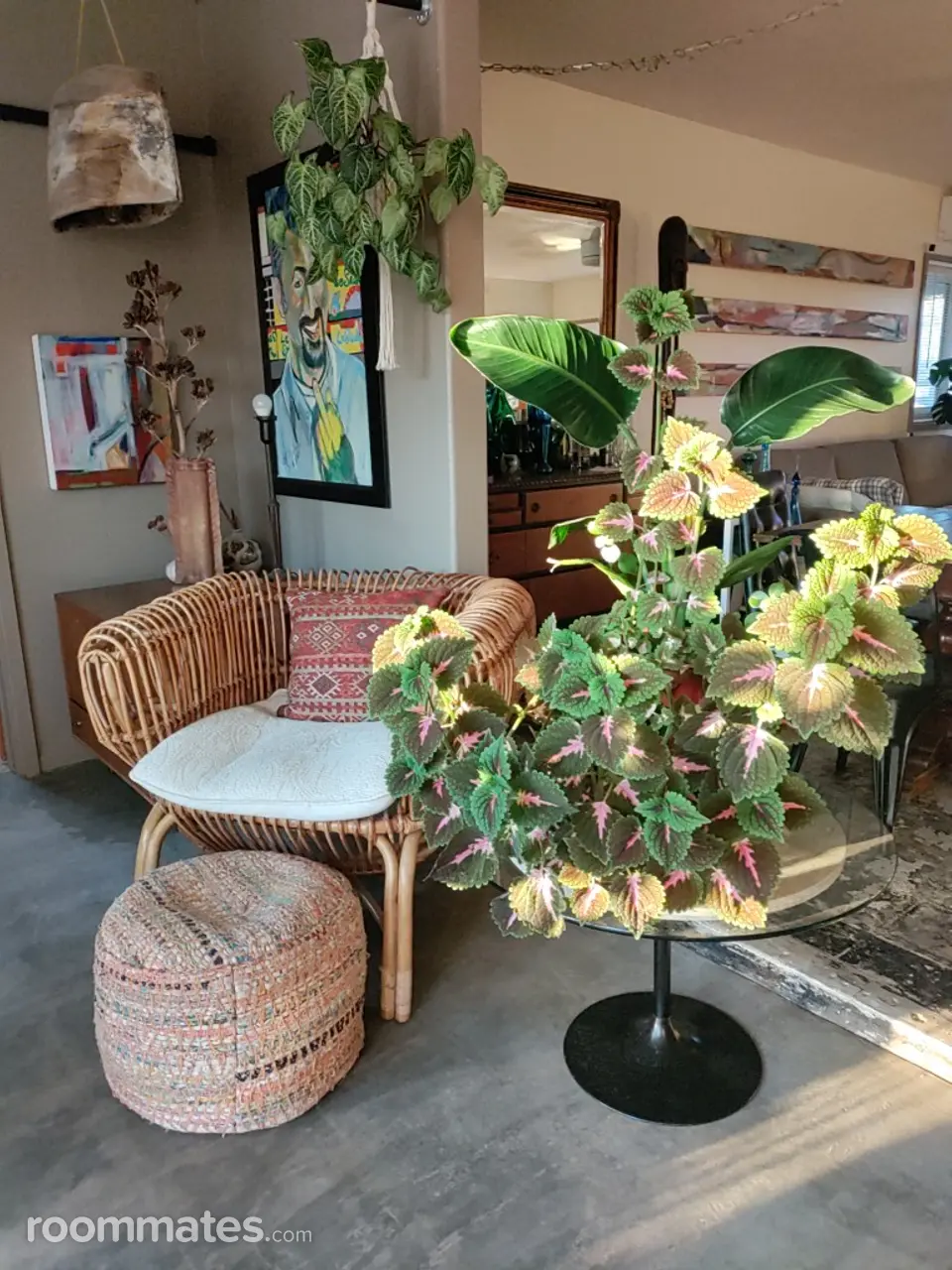 Profile photo 6 of 6