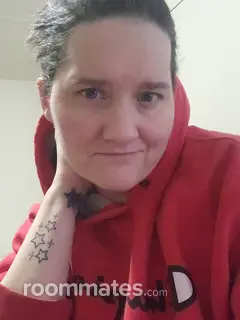 Roommate looking Reading, PA, $900