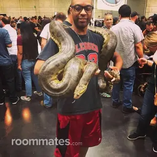 Roommate looking San Jose, CA, $1200