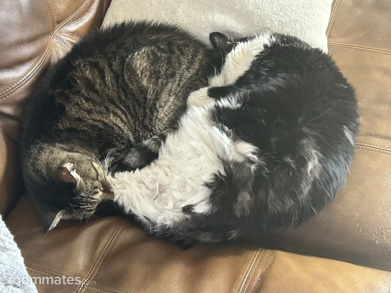 Profile photo 6 of 10