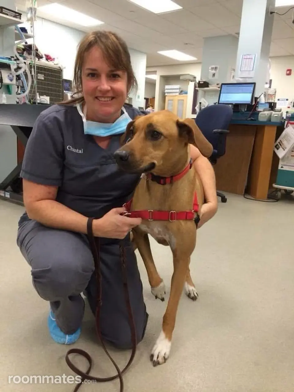 Profile photo 7 of 10