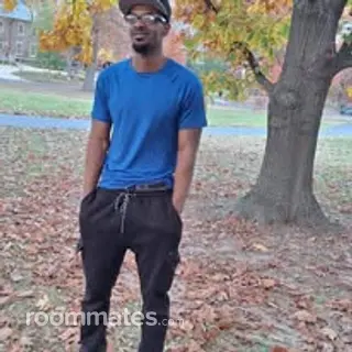 Roommate looking Saint Louis, MO, $500