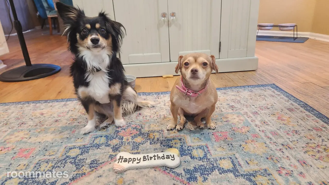 Profile photo 1 of 1