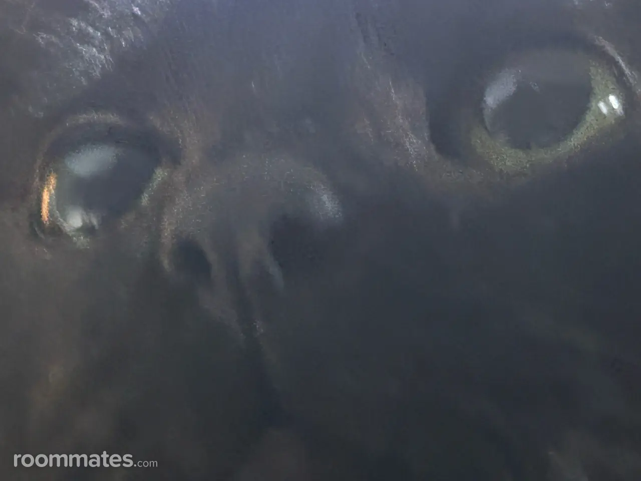 Profile photo 2 of 4