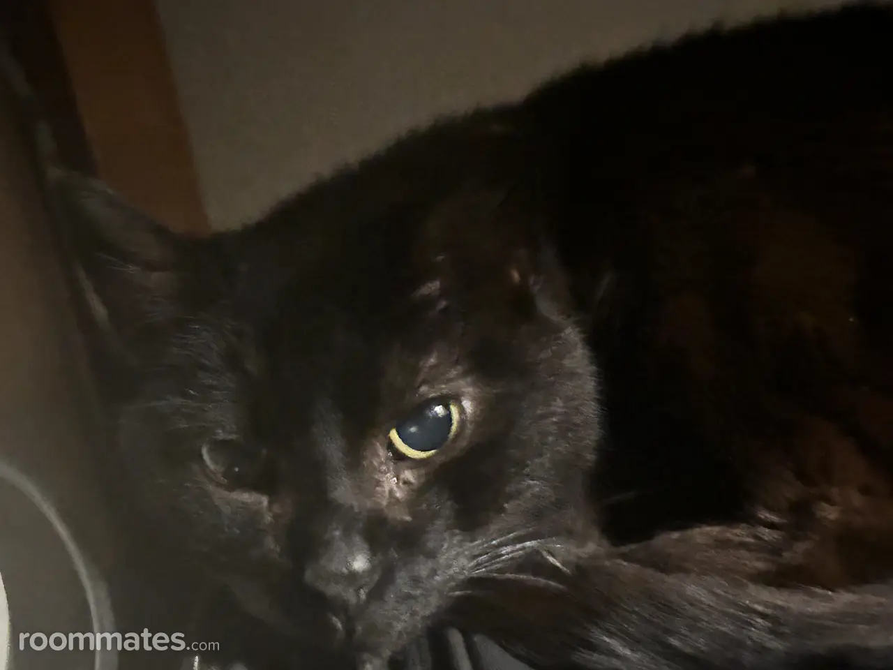 Profile photo 3 of 4