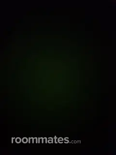 Roommate looking Princeton Township, NJ, $800