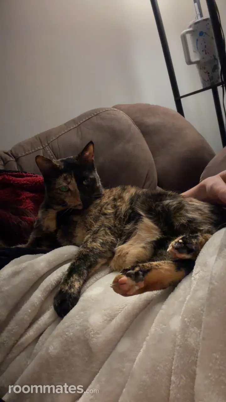 Profile photo 5 of 9