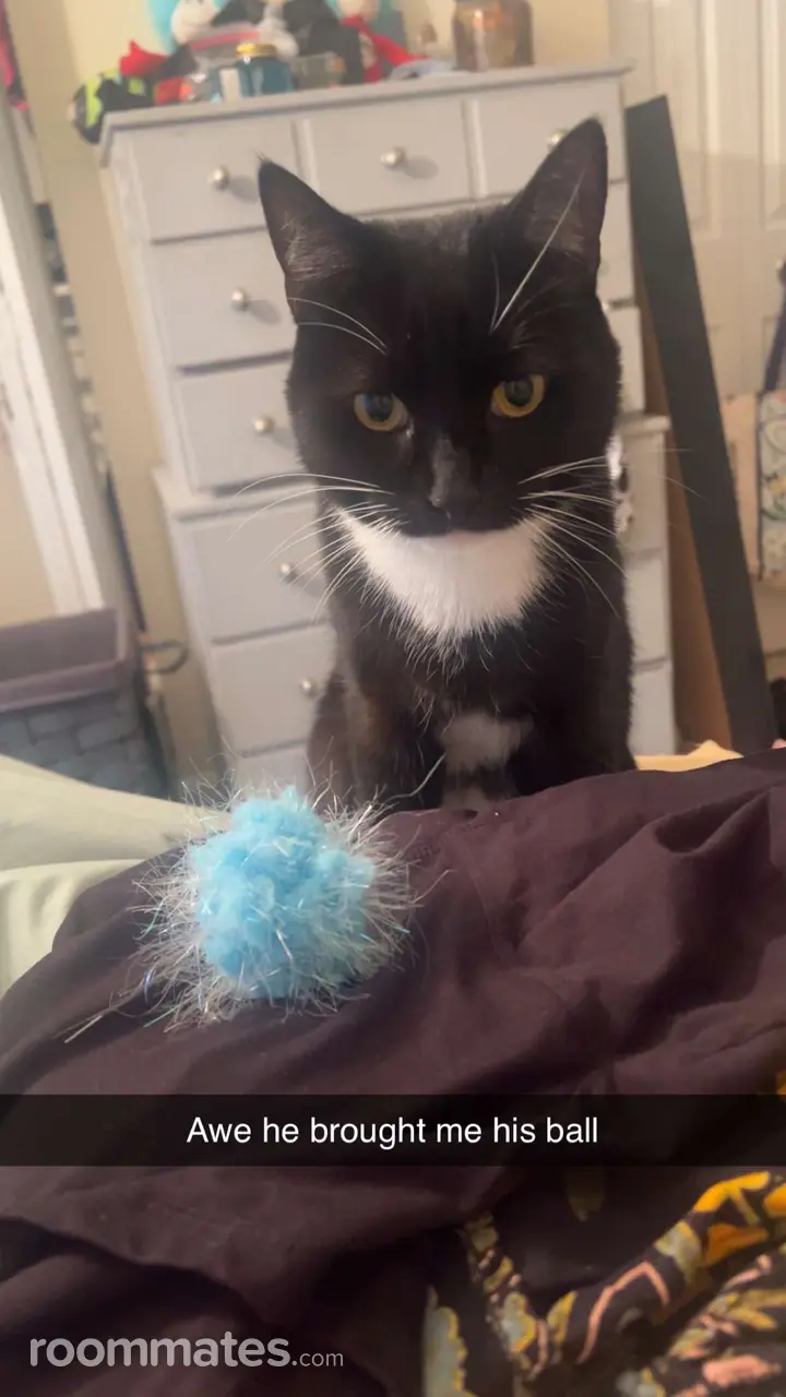 Profile photo 2 of 9