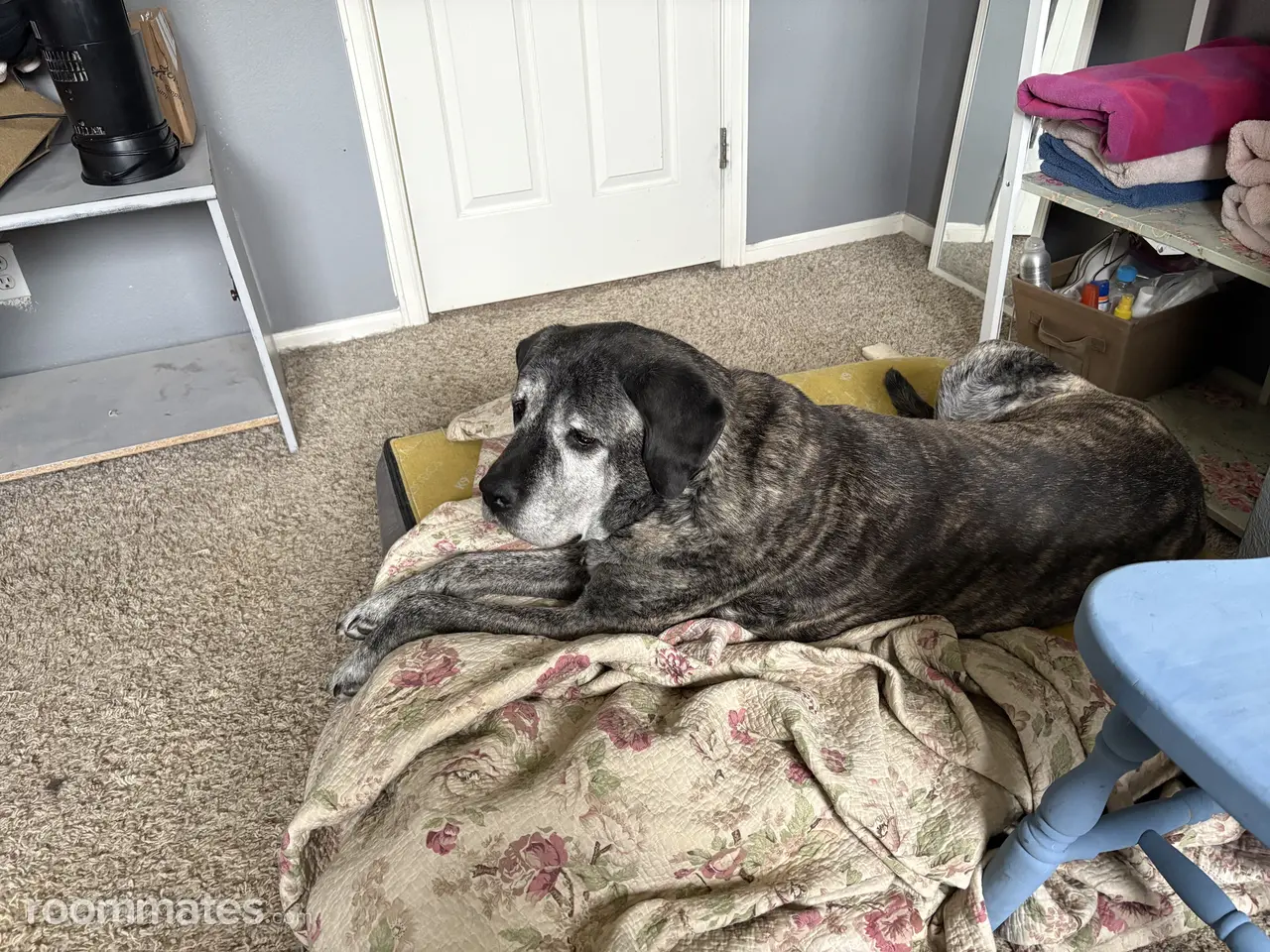 Profile photo 2 of 2