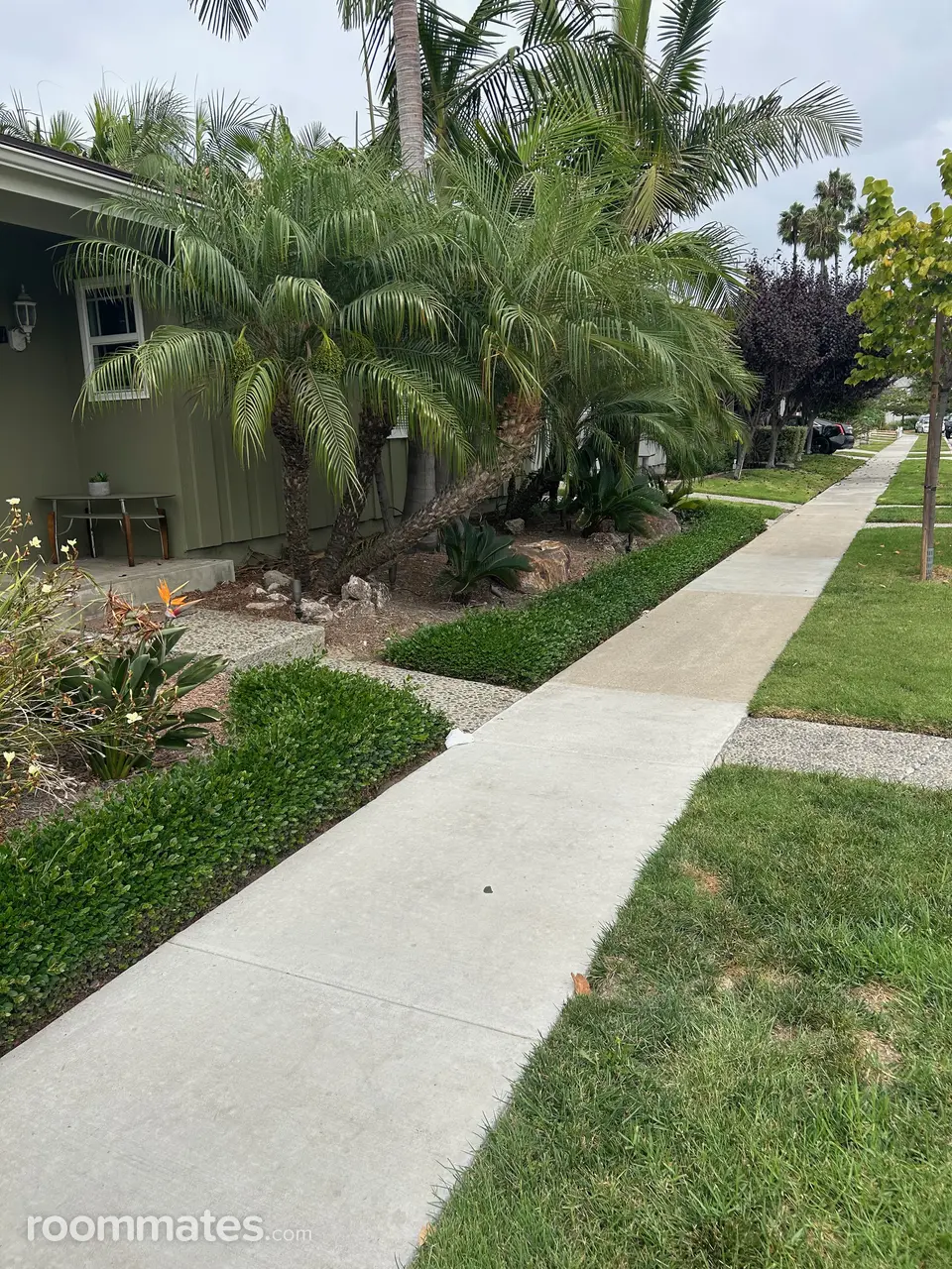 Profile photo 4 of 9