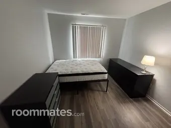 Room for rent in Shelby Township, MI $800, apartment