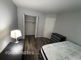 Room for rent in Shelby Township, MI $800, apartment