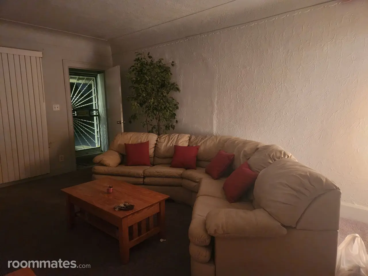 Profile photo 15 of 21