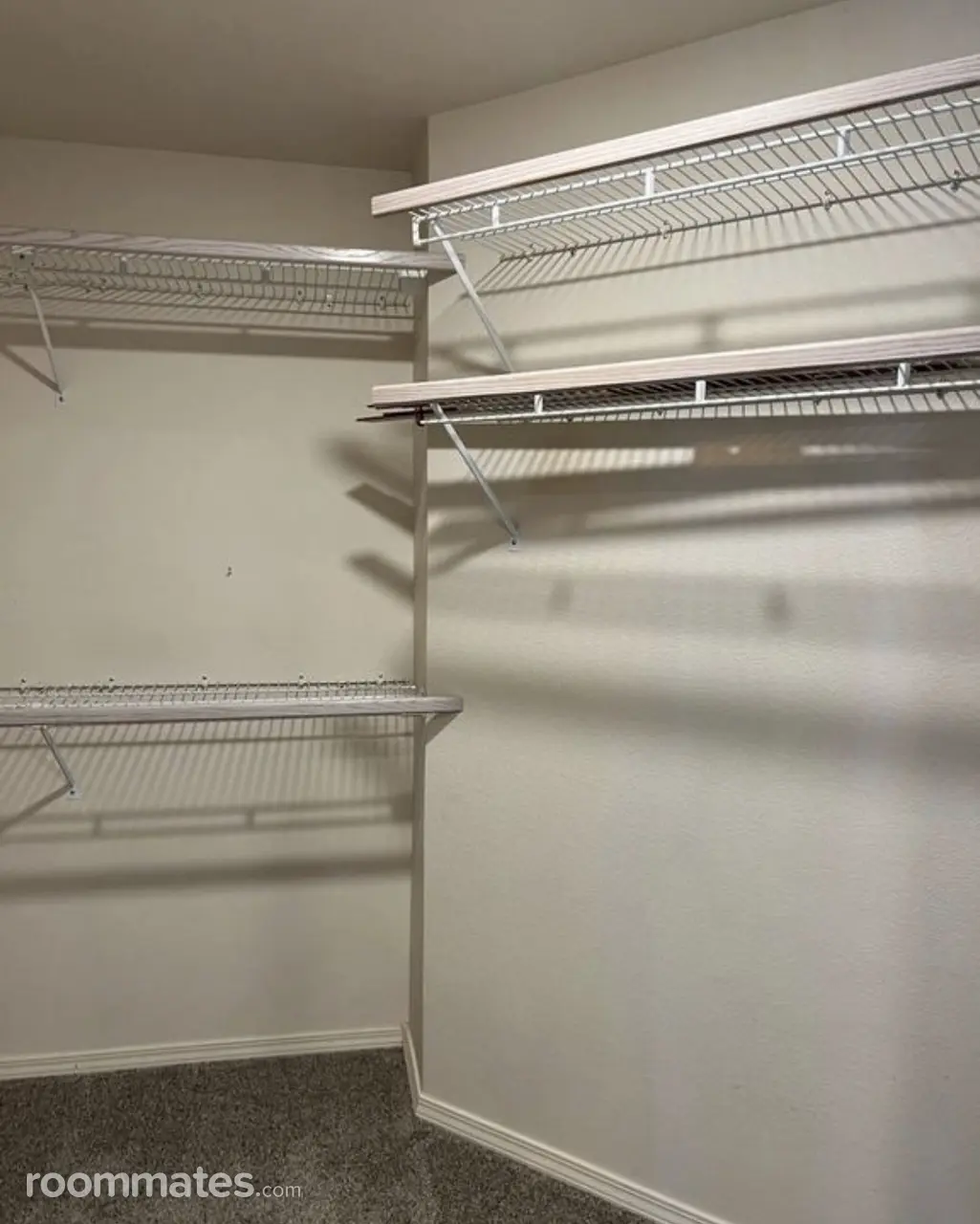 Profile photo 1 of 4