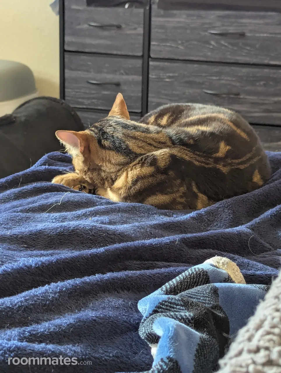 Profile photo 3 of 3