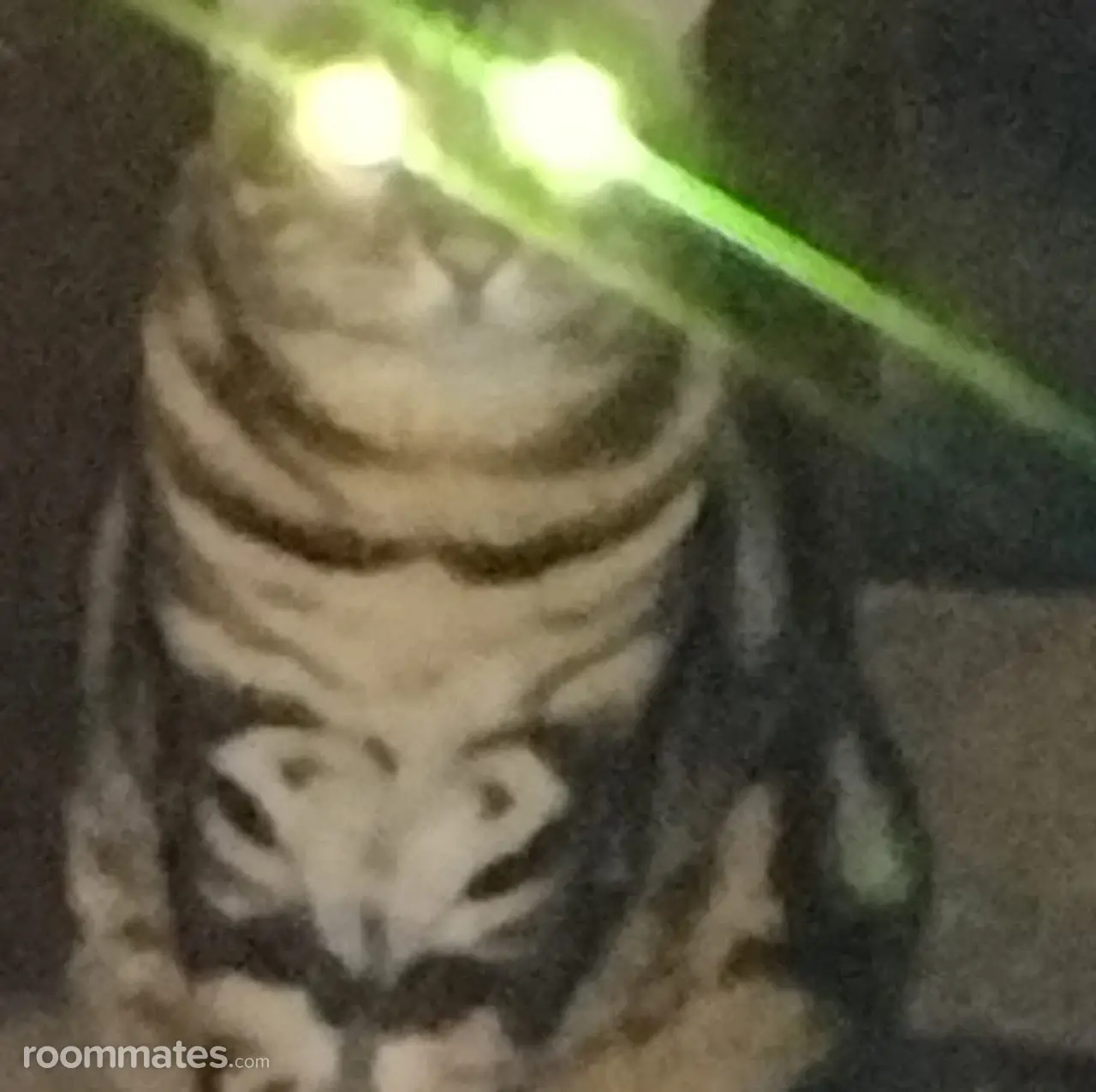 Profile photo 2 of 3