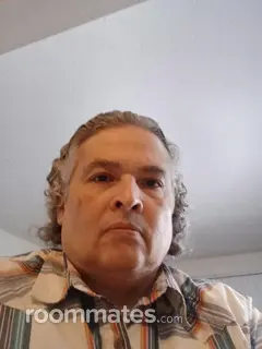 Roommate looking Clyde, OH, $900