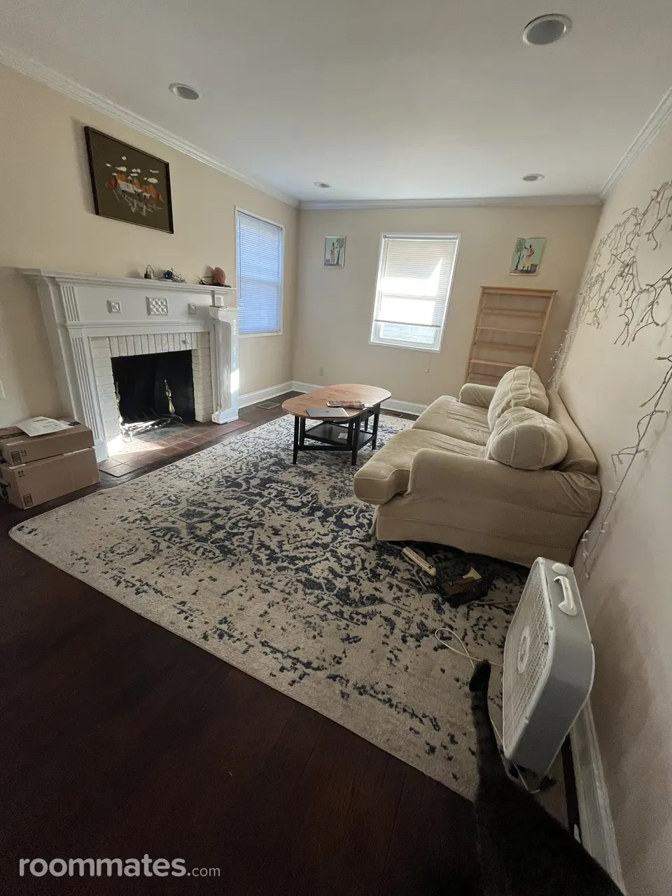 Profile photo 7 of 8