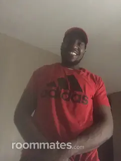 Roommate looking Madison, WI, $1000