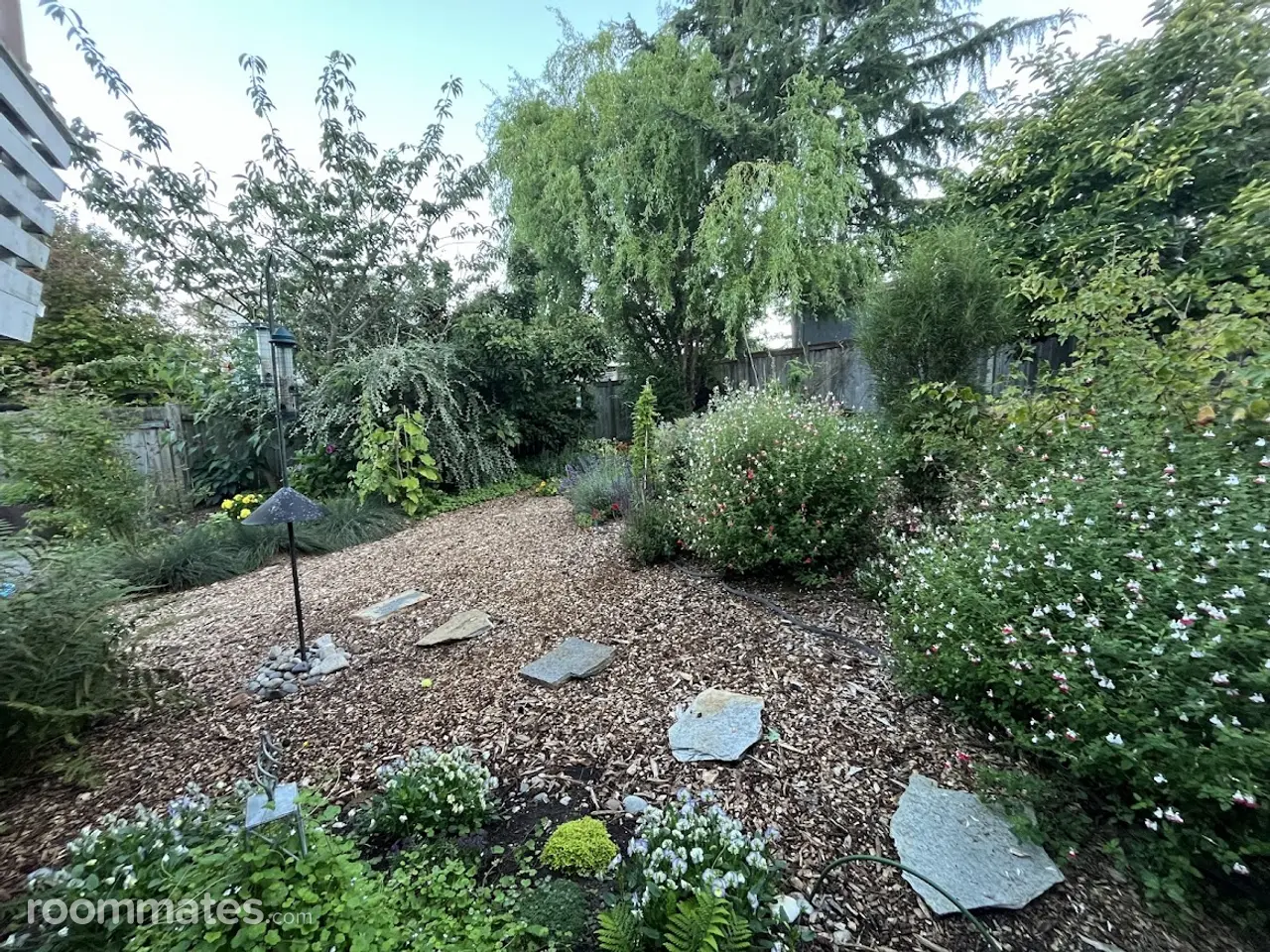 Profile photo 3 of 15