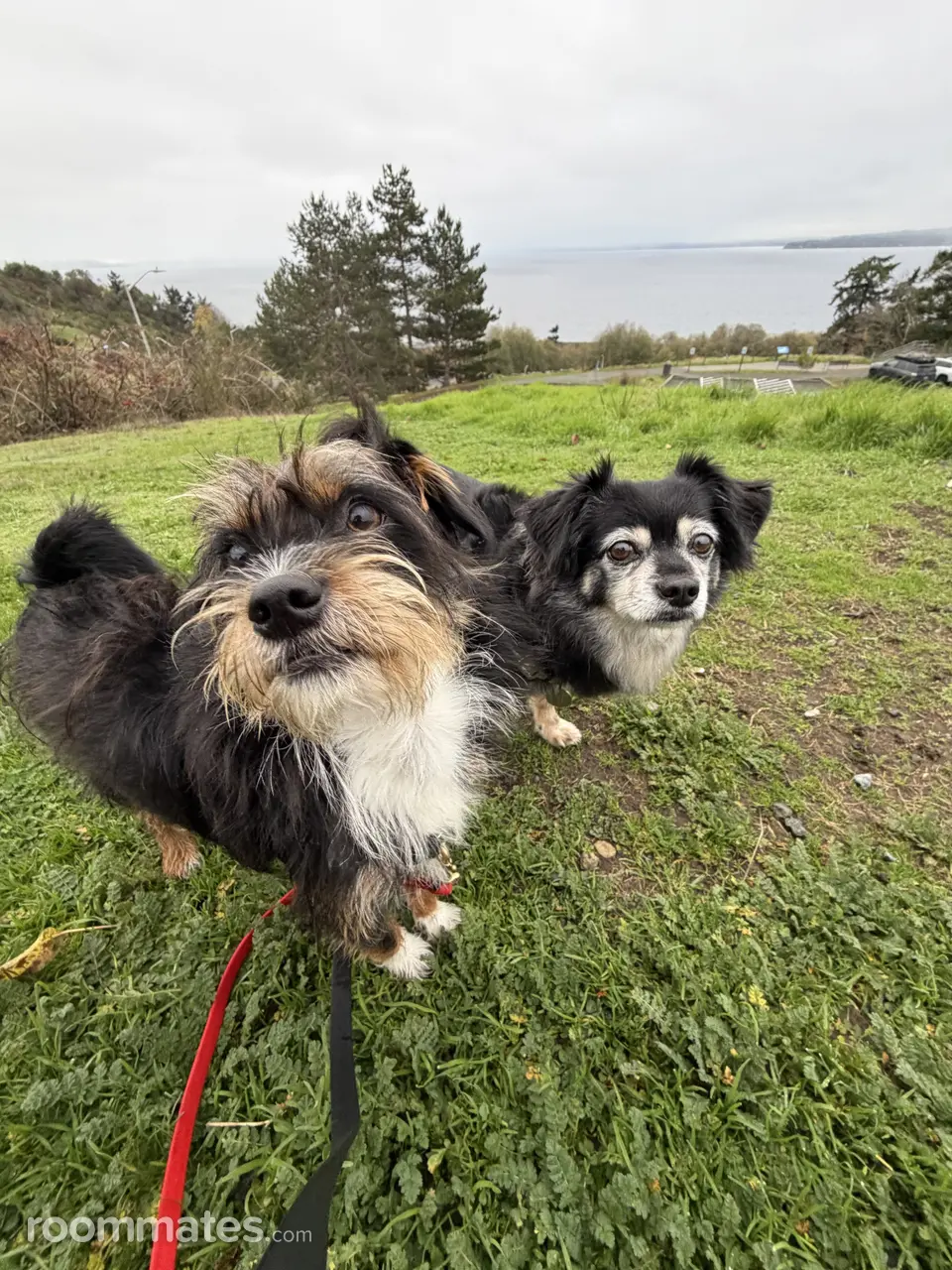 Profile photo 13 of 15