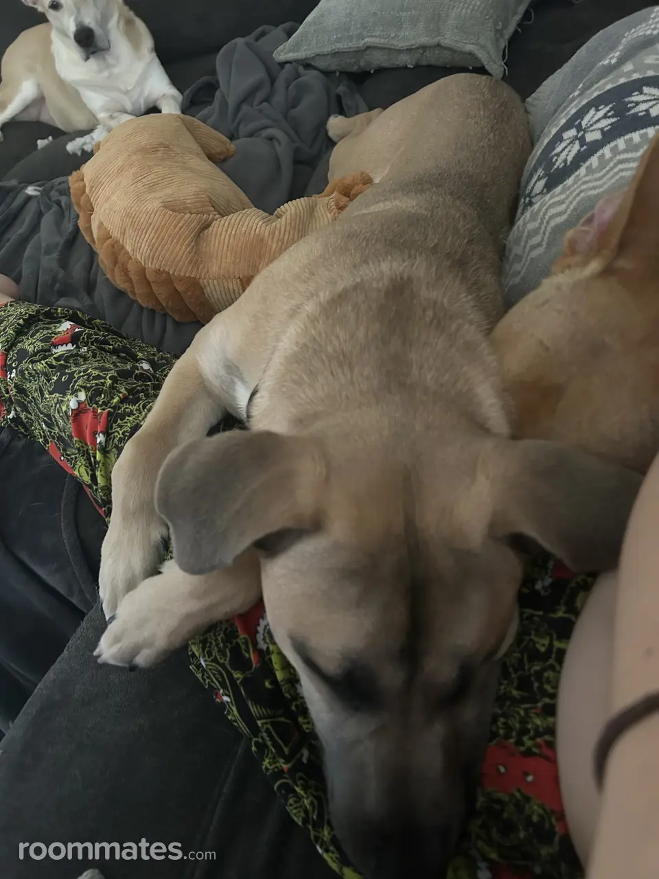 Profile photo 4 of 7