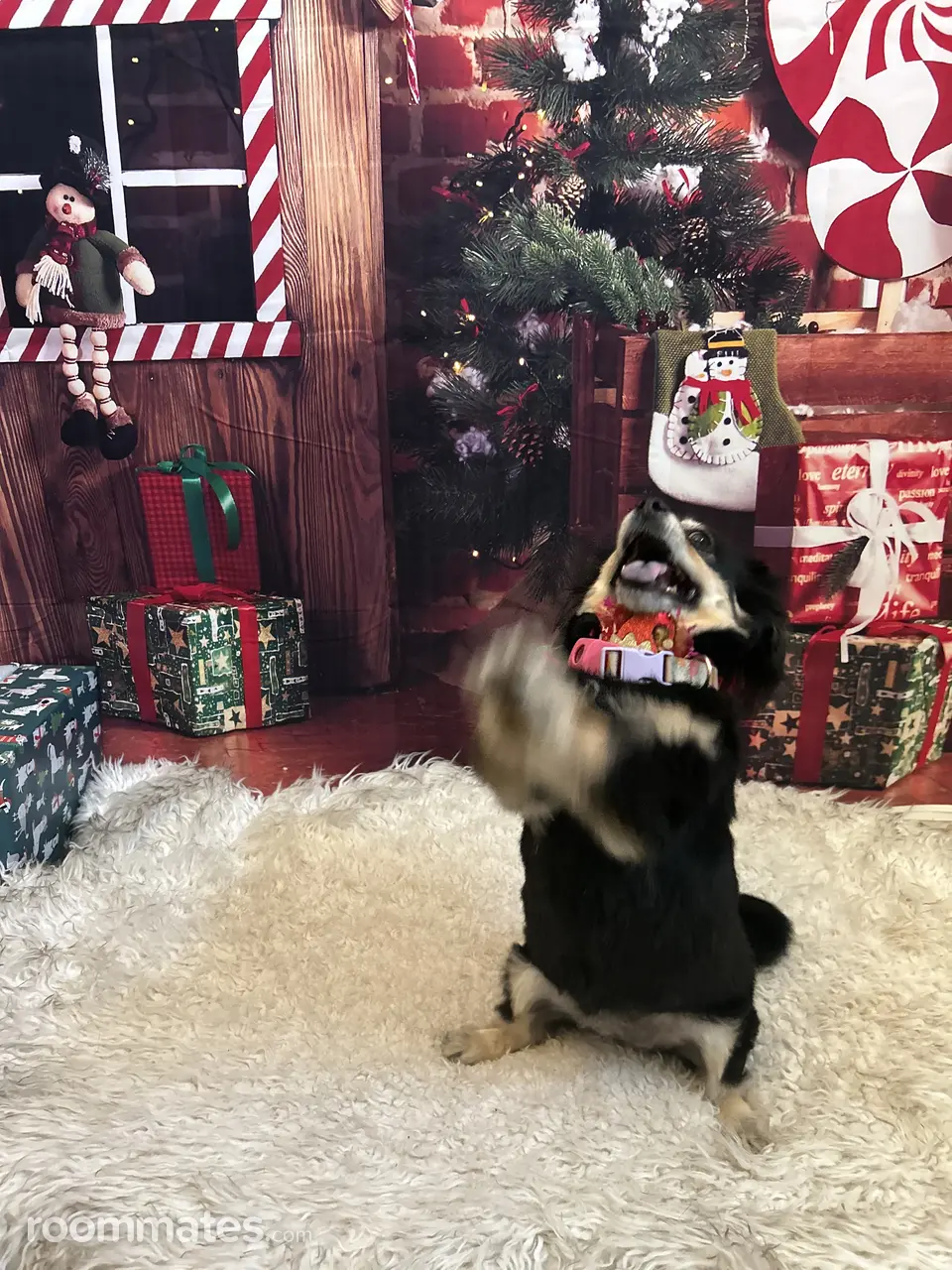 Profile photo 6 of 7