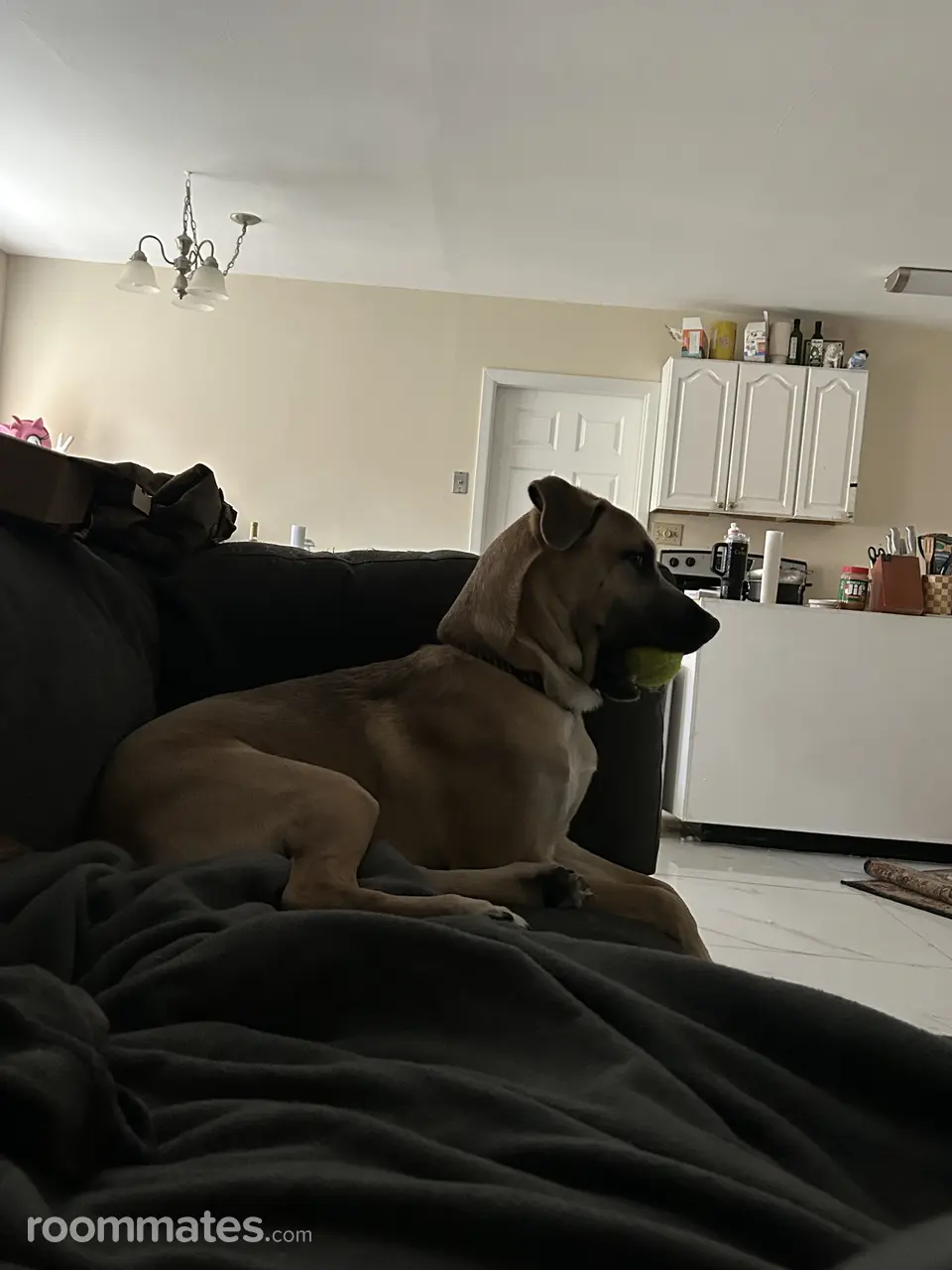 Profile photo 3 of 7