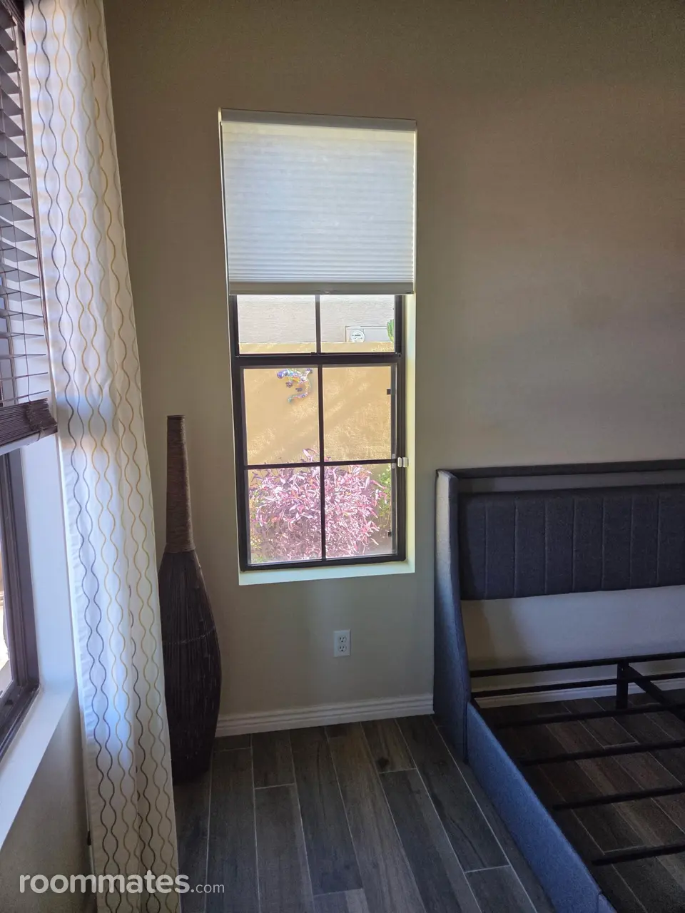 Profile photo 2 of 8