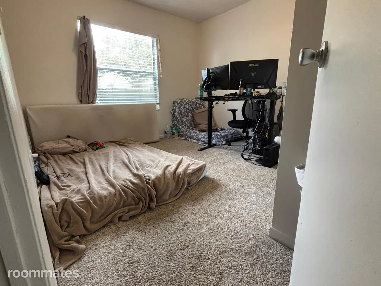 Profile photo 5 of 11