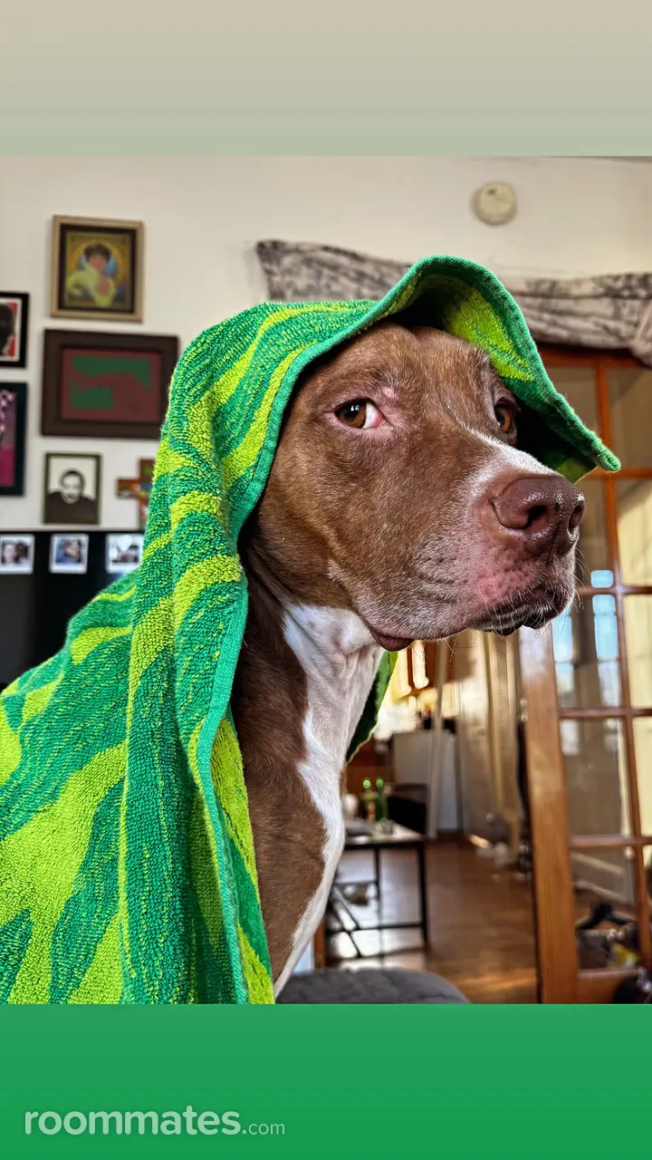 Profile photo 2 of 4