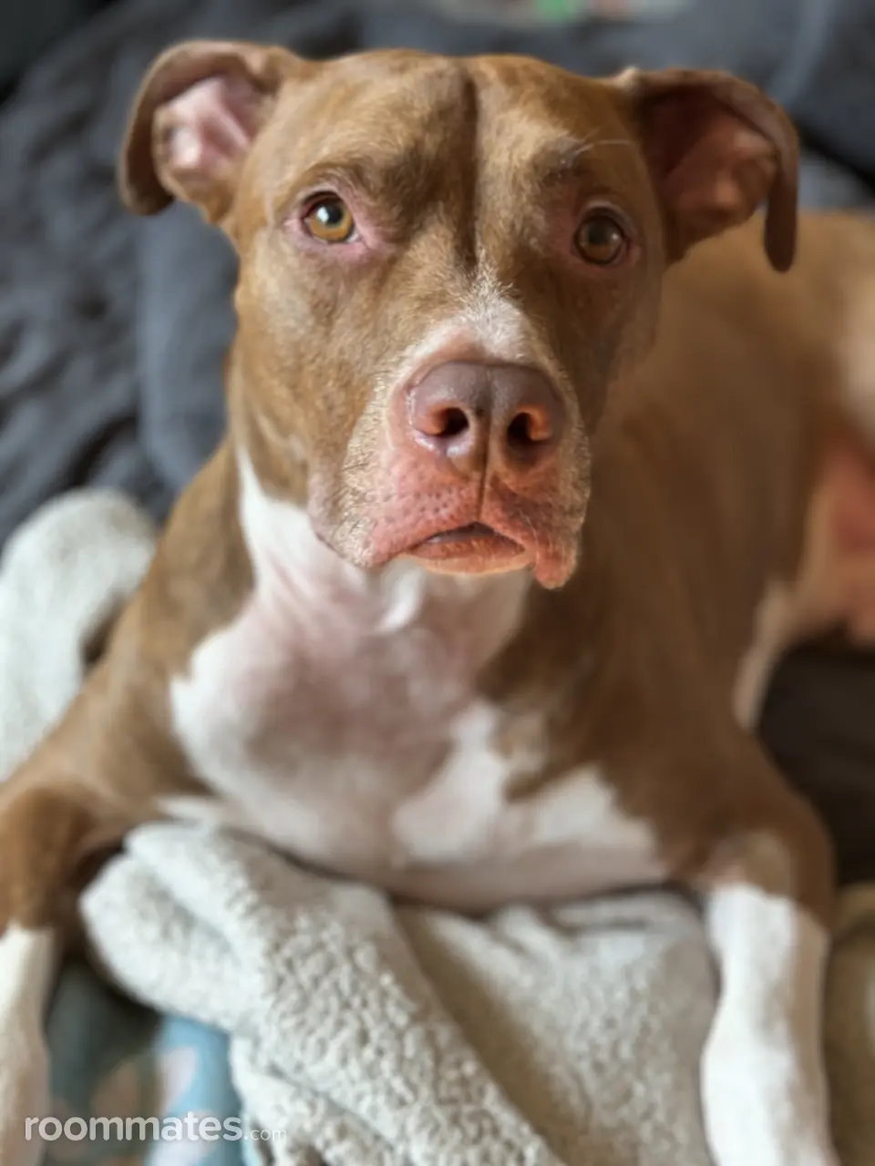 Profile photo 4 of 4