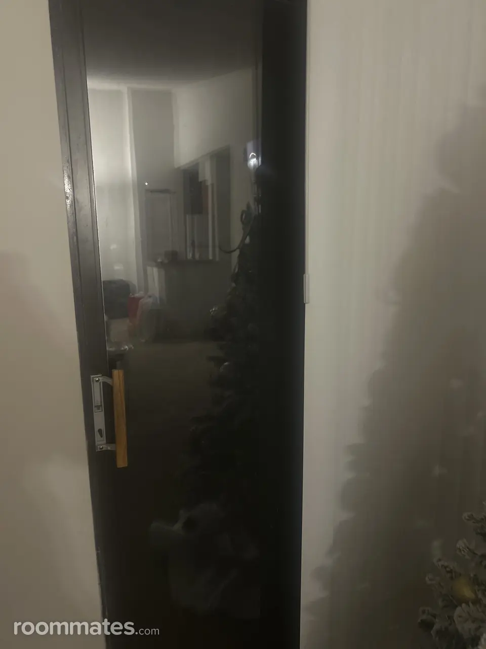 Profile photo 2 of 7