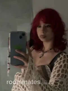 Roommate looking Passaic, NJ, $1200