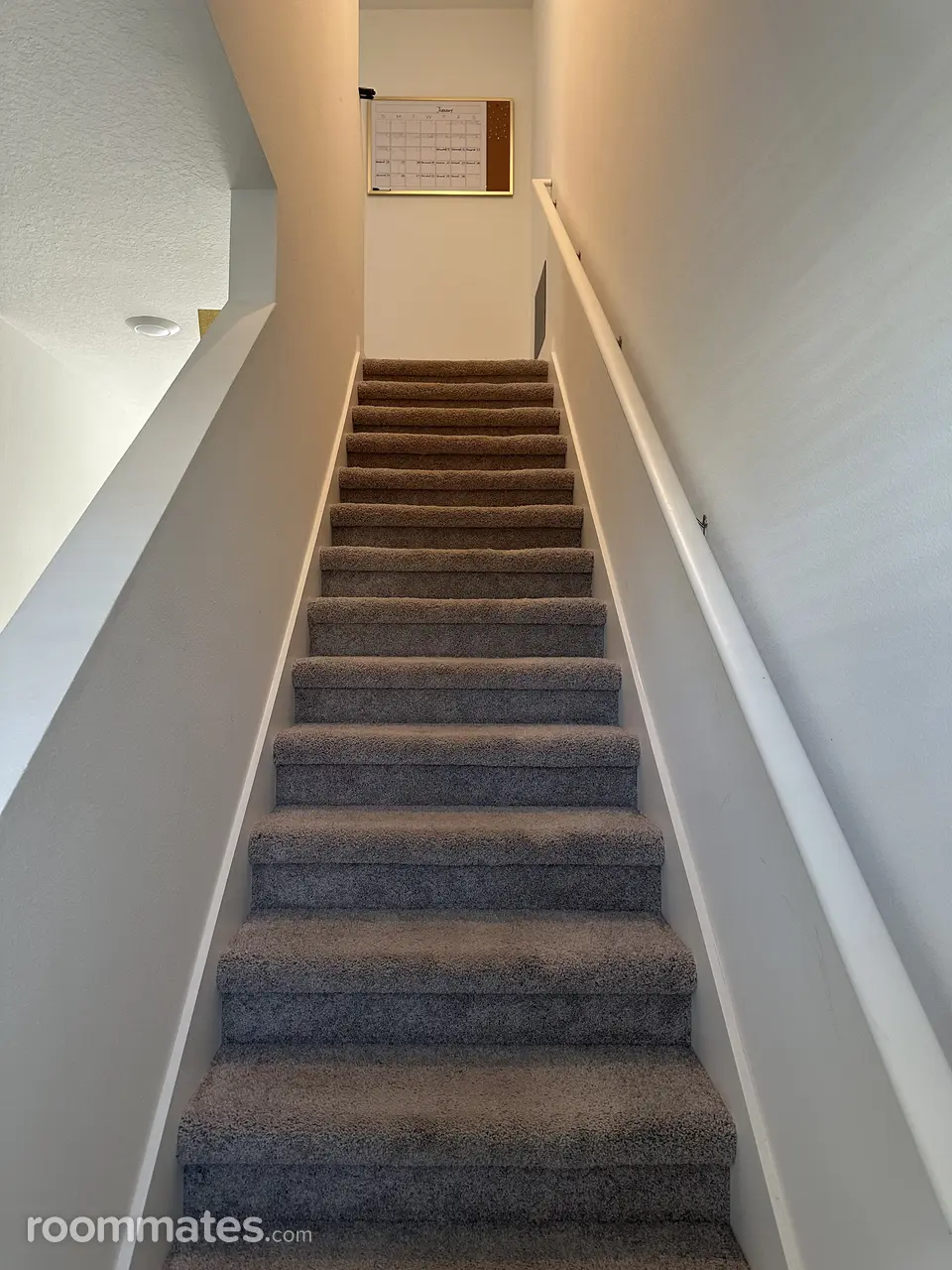 Profile photo 5 of 11