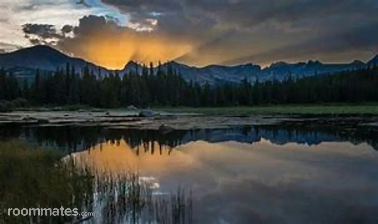 Profile photo 1 of 2