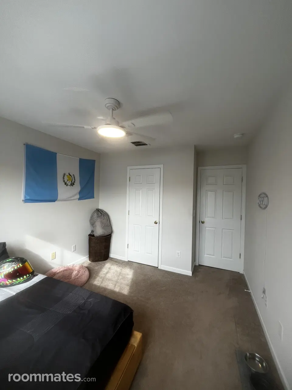 Profile photo 10 of 11