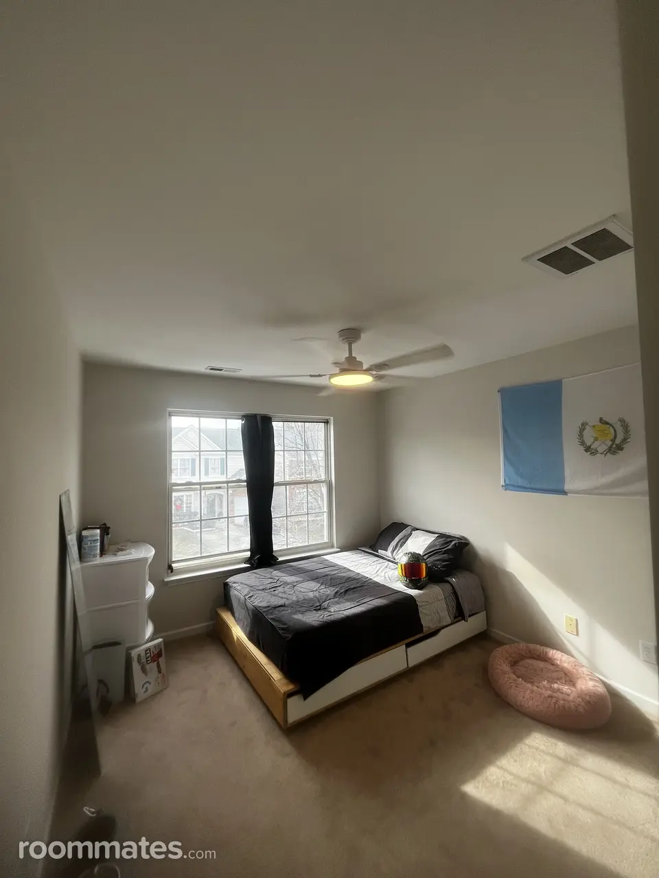 Profile photo 9 of 11