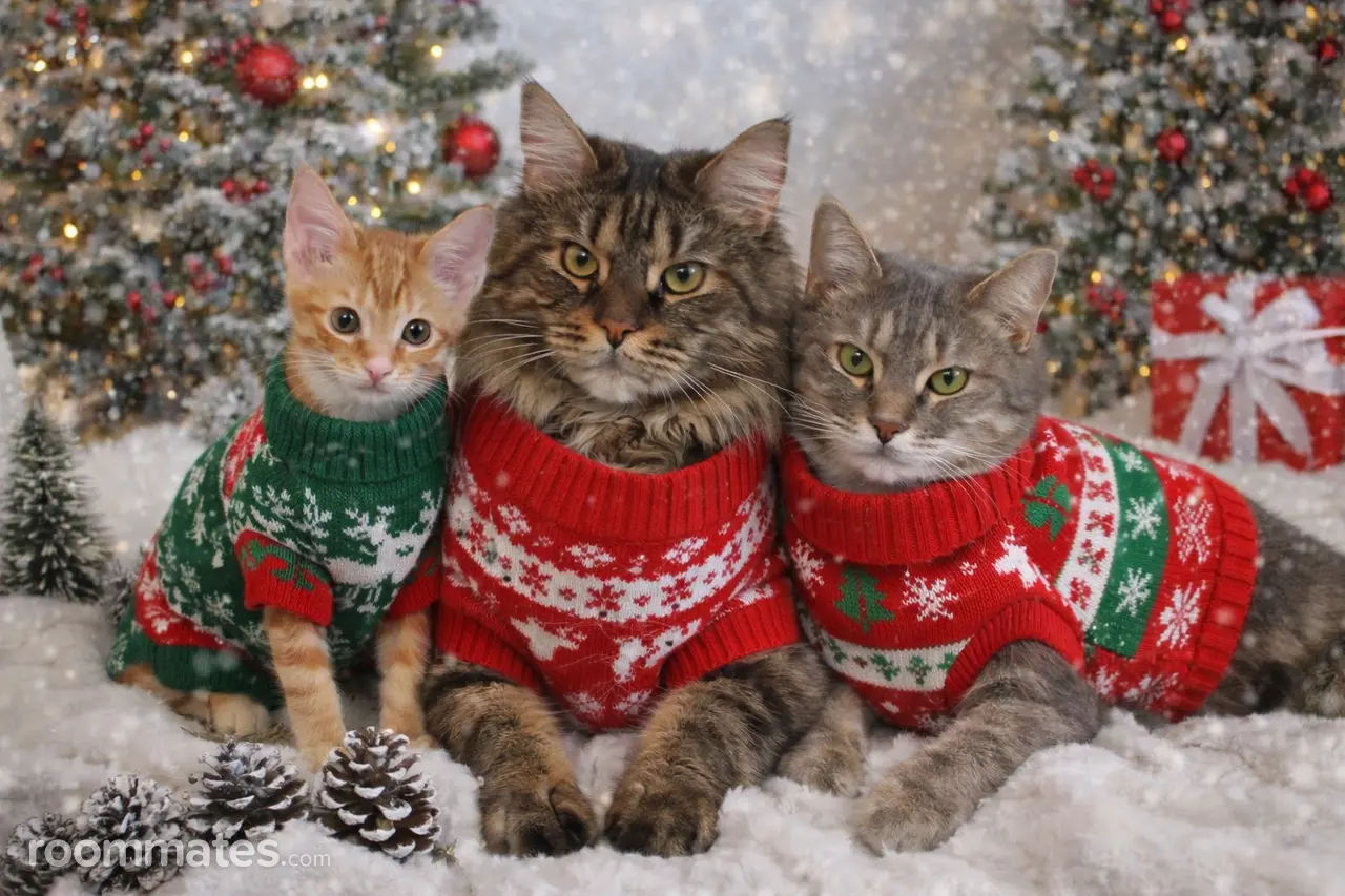 Profile photo 6 of 7