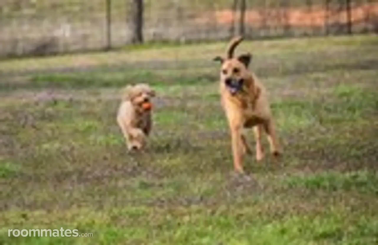 Profile photo 2 of 2