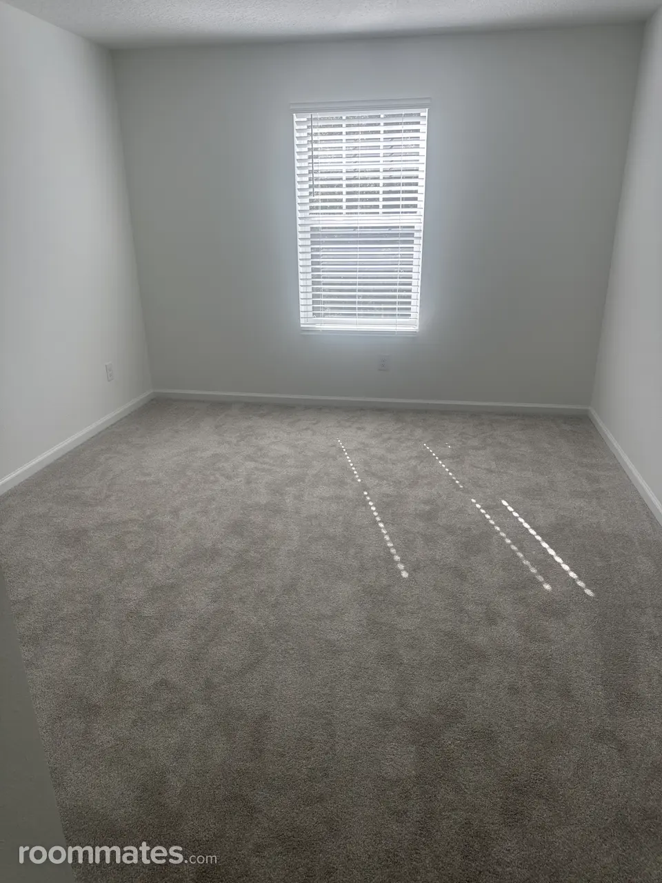 Profile photo 7 of 10