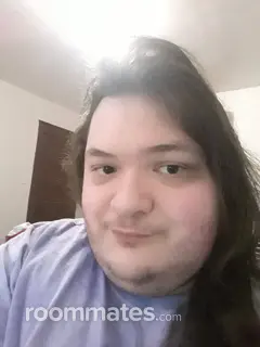 Roommate looking Grand Rapids, MI, $500