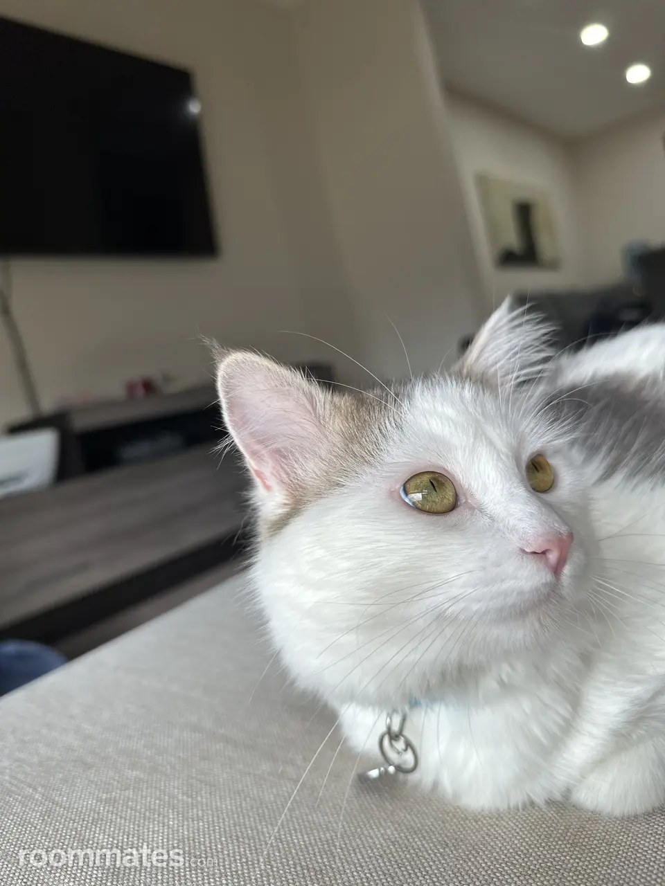 Profile photo 4 of 4