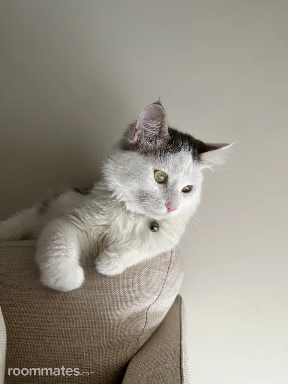 Profile photo 2 of 4