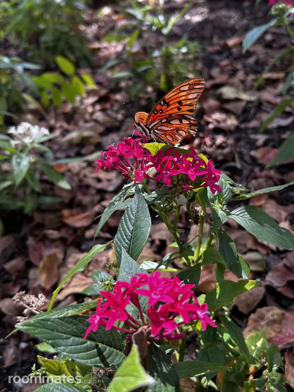 Profile photo 6 of 11