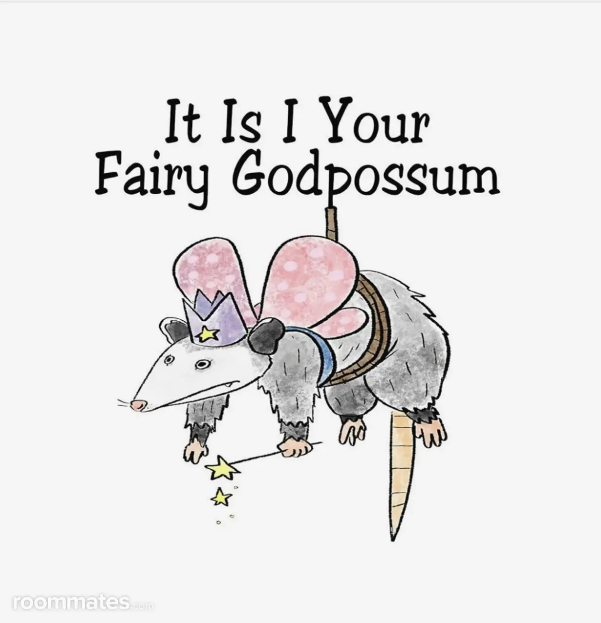 Profile photo 2 of 11