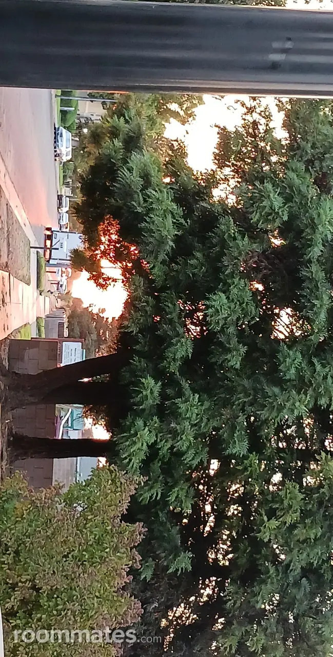 Profile photo 5 of 6