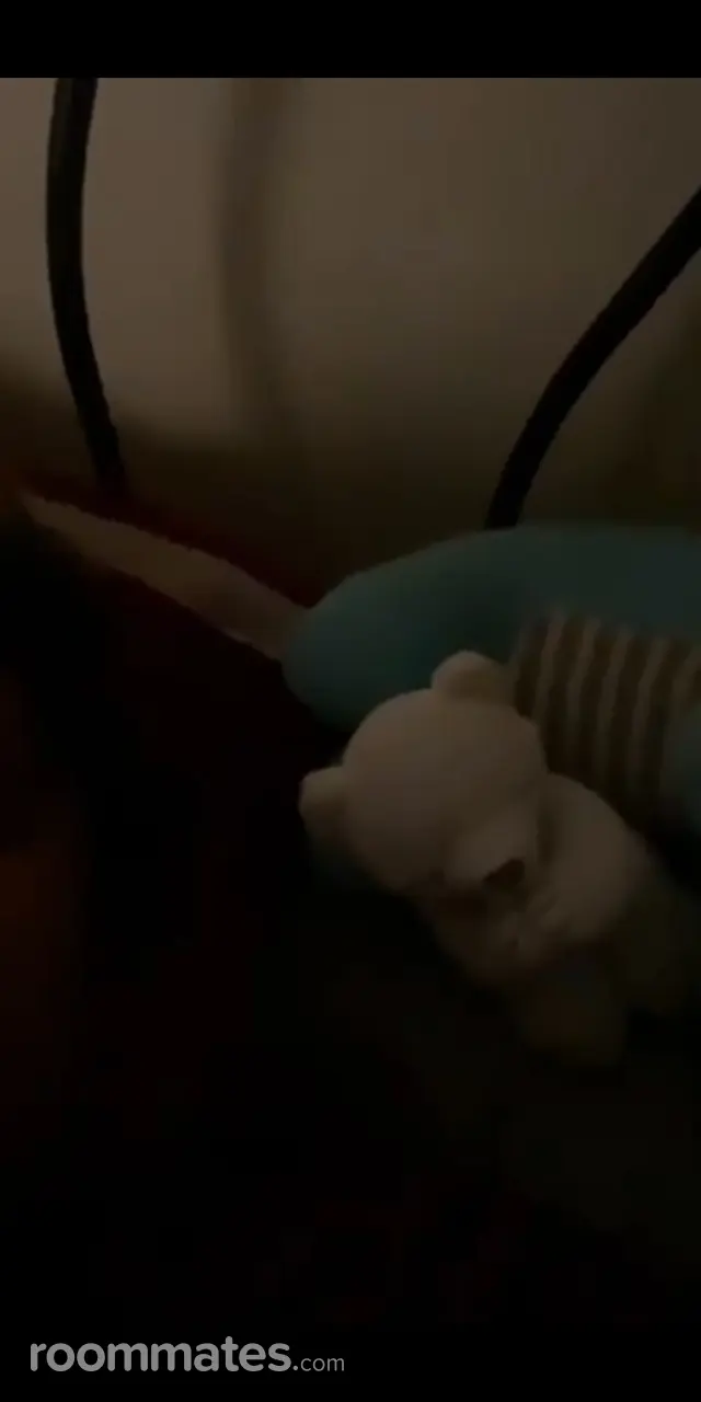 Profile photo 2 of 6