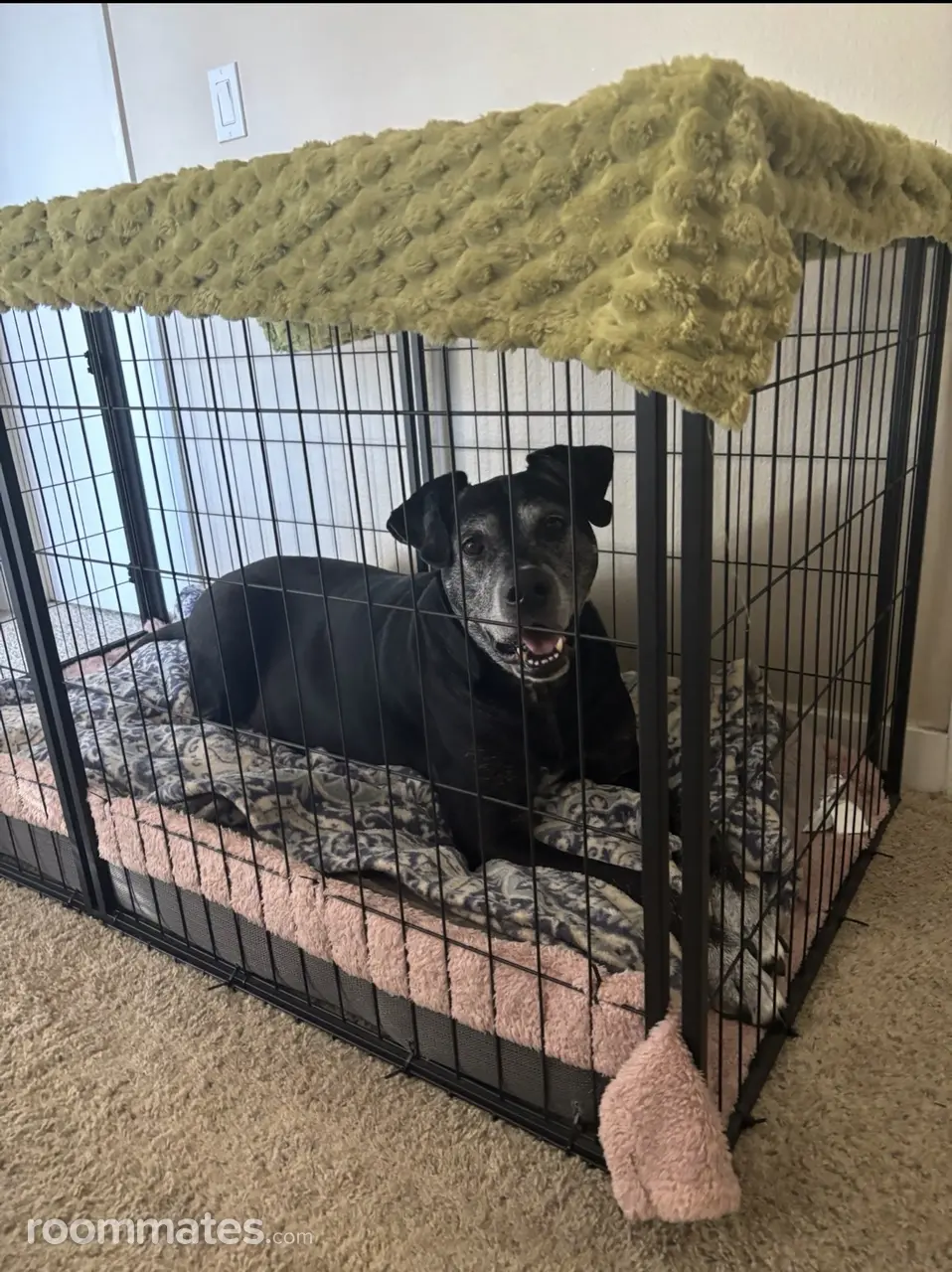 Profile photo 2 of 2